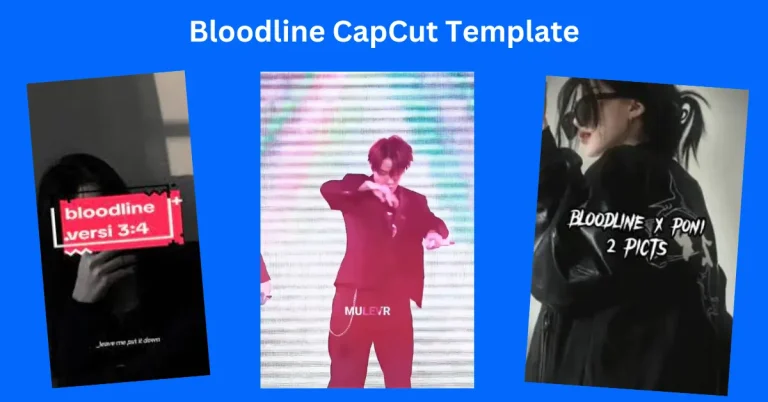 Bloodline CapCut Template 7 Bloodline CapCut Template